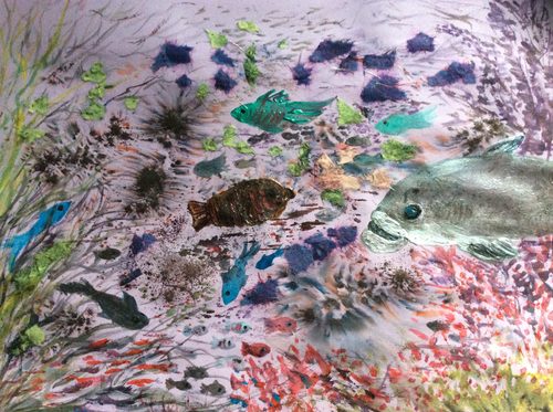 Dorothy, Great Barrier Reef, collage.